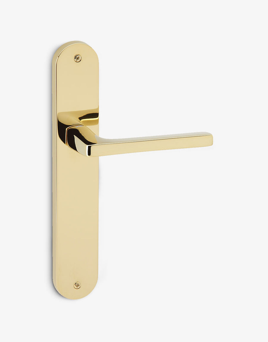 Log.gic door handle set on an oval backplate