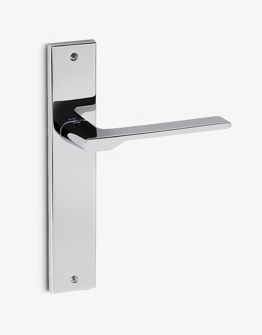 Special door handle set on a rectangular backplate