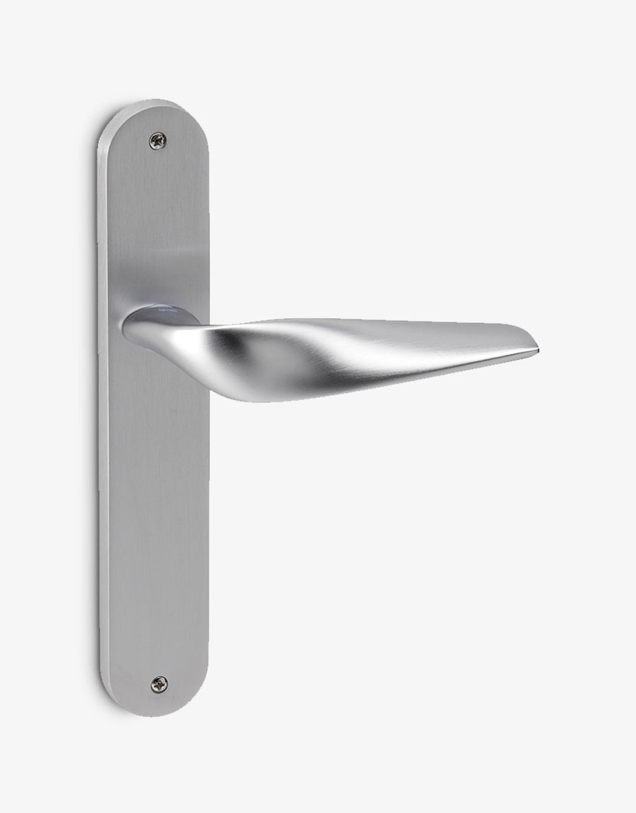 Sasha door handle set on an oval backplate